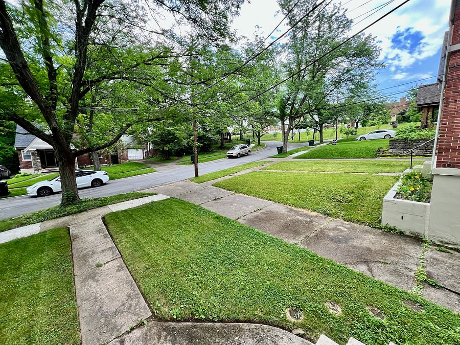 Front Yard of Building  
