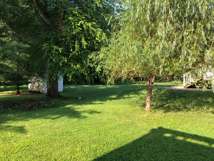 View of neighbor's yard from patio