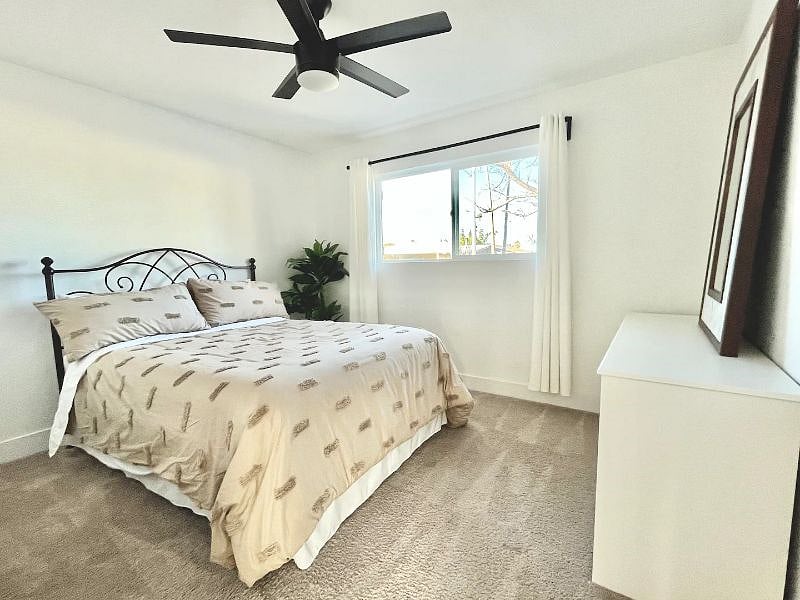 Furnished Finder property 490519_1 photo 10