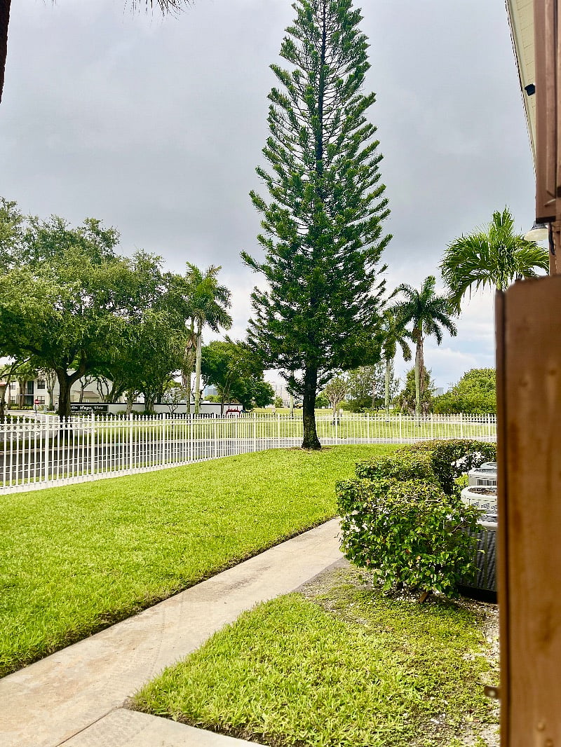 Walkway in front of the gate entry.