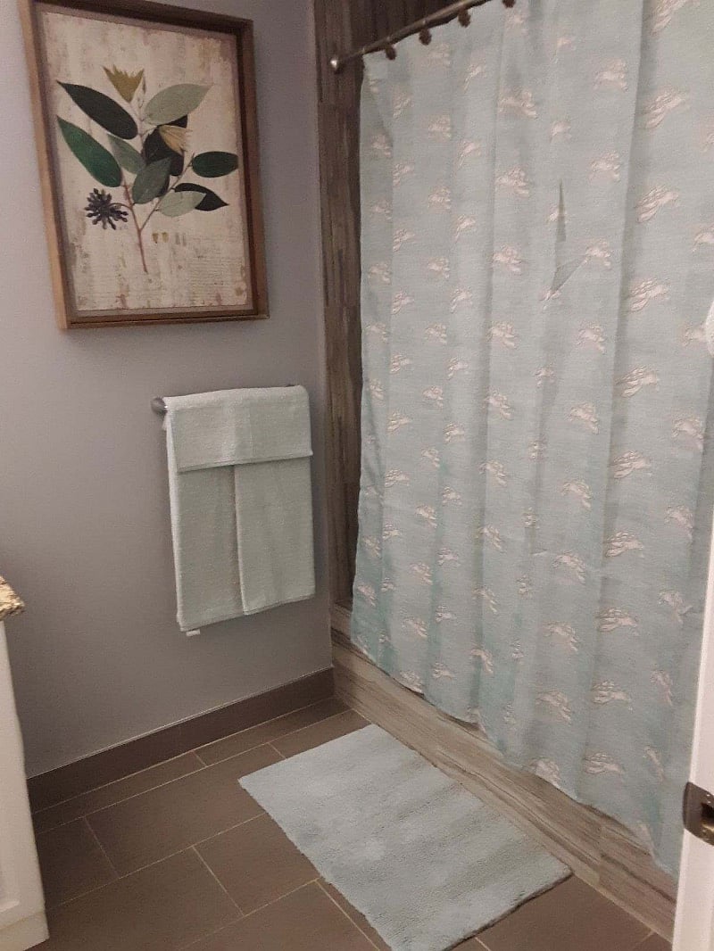 Furnished Finder property 490545_1 photo 13