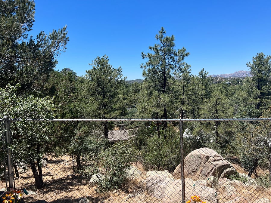 Yes, you get to walk the entire hillside all to yourself. A great adventure.