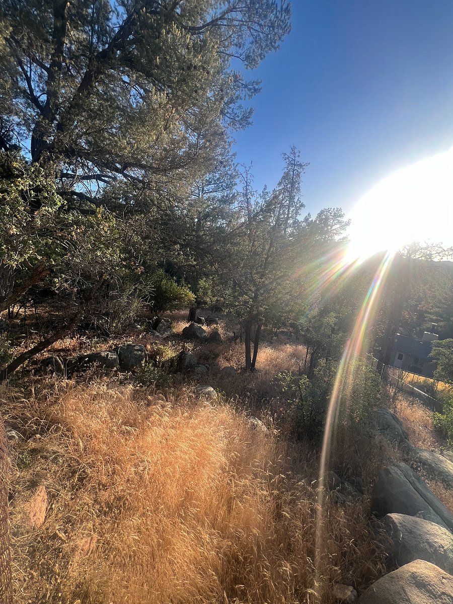 Some of the left hillside.