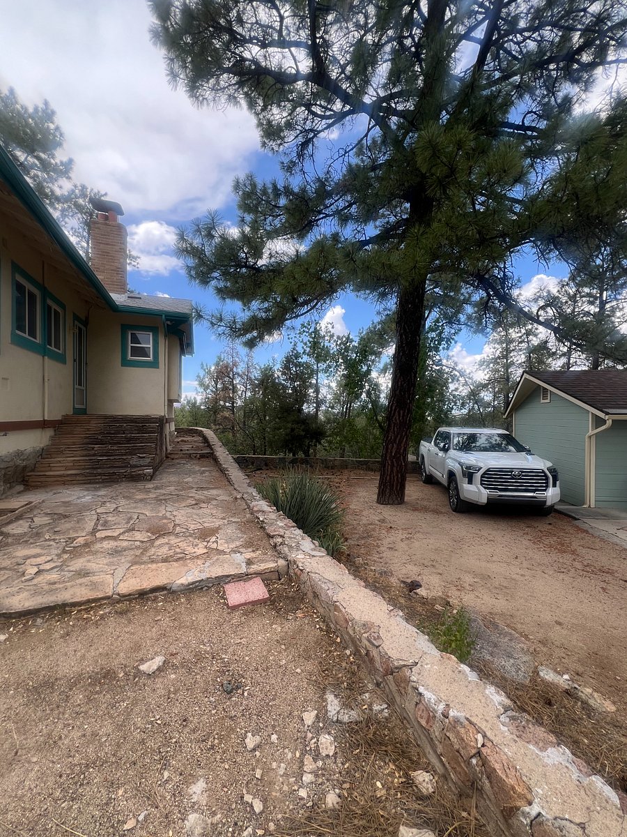 Parking left of the tree to store vehicles, and up to the flagstone.