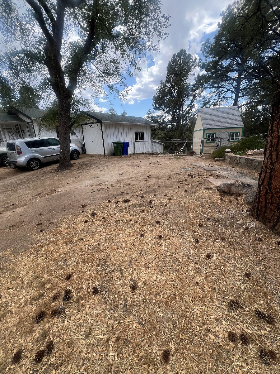 4-5 vehicles have been stored here from edge neighbors garage to right of this front yard tree. To the neighbors garage is still this house's property since this property gives them an easement to get in and out of their driveway. The property line actually owns a corner of neighbors garage....remember, lines were made 101 years ago, LOL.
