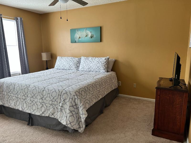 Furnished Finder property 490659_1 photo 10