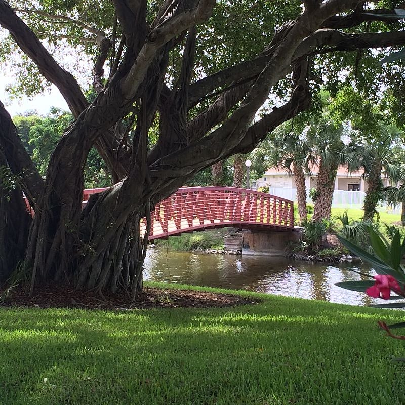 Many walking paths surround the complex!