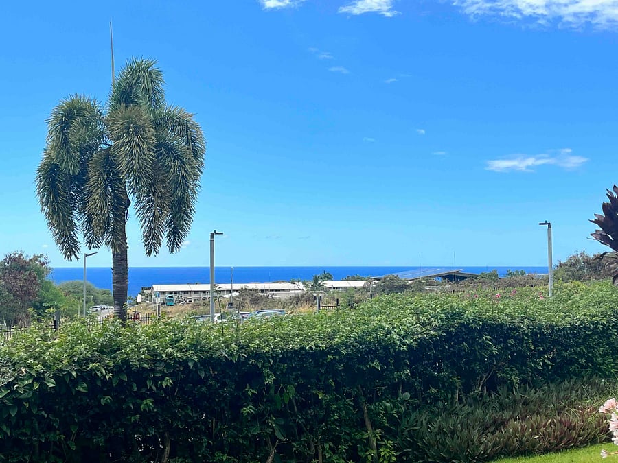 Furnished Finder property 490956_1 photo 12