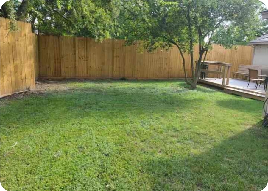 Dapper Den Backyard