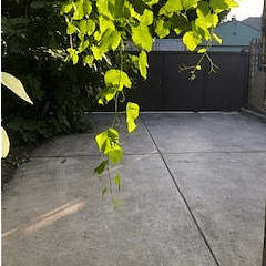 Free Off-street Parking