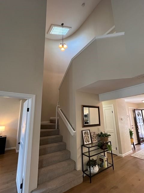 Furnished Finder property 491234_1 photo 10