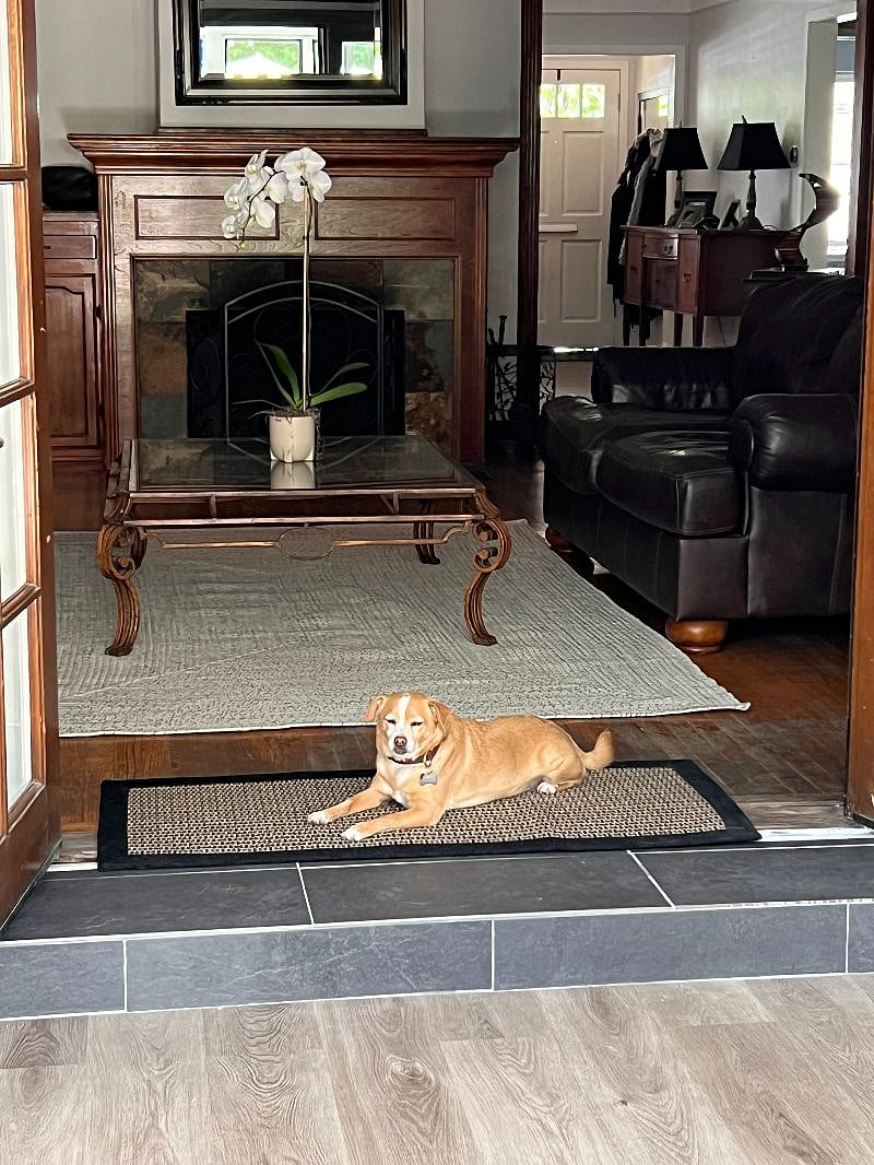 Furnished Finder property 491327_1 photo 10