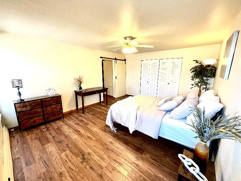 Furnished Finder property 491421_1 photo 6