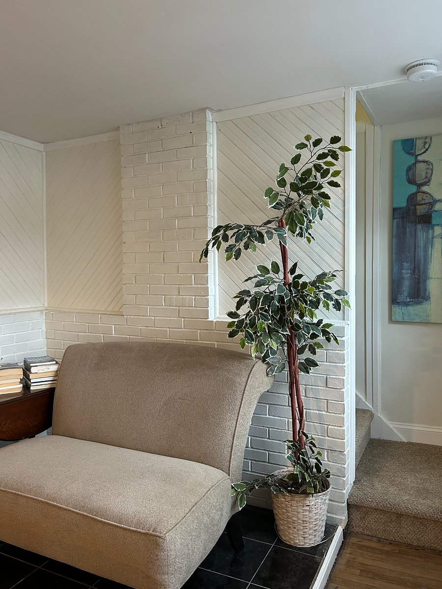 Furnished Finder property 491509_2 photo 19