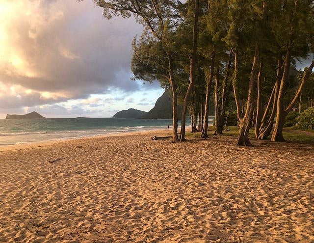 Beach Access