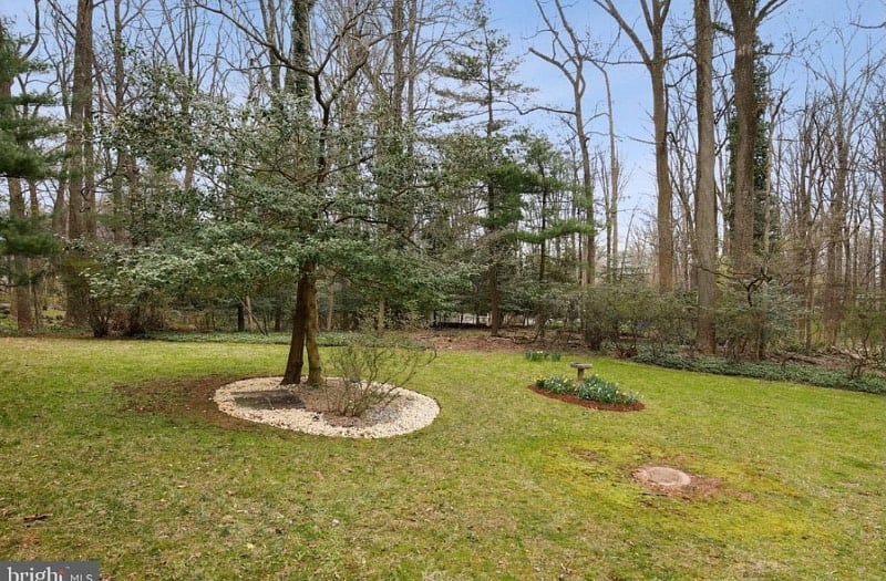 Furnished Finder property 491594_1 photo 9