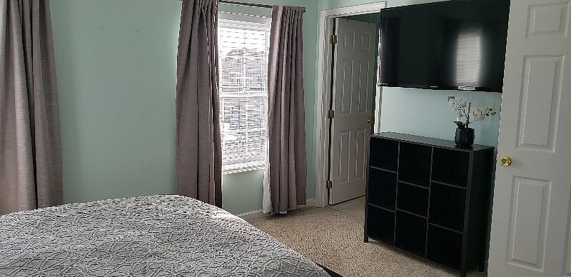 Furnished Finder property 491629_1 photo 5