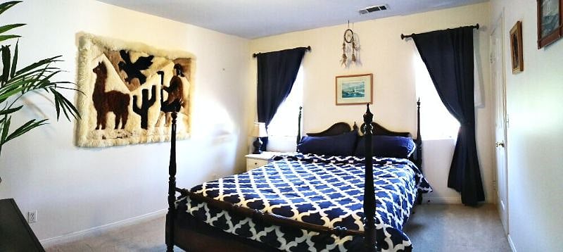 Bedroom option 2 with walk-in closet