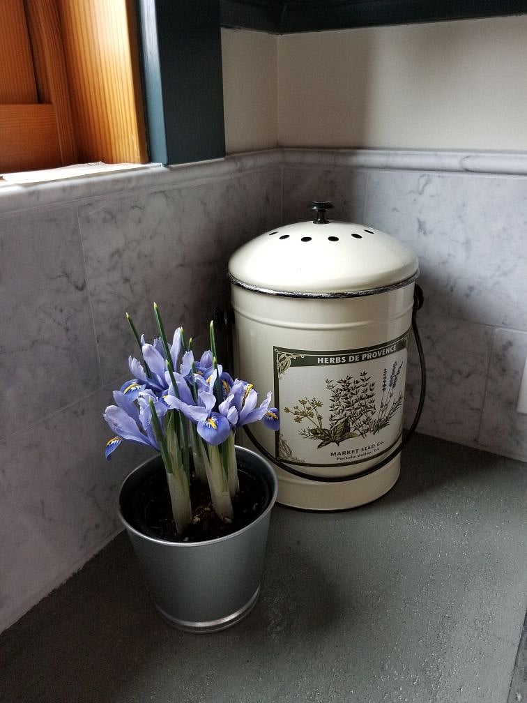 Kitchen compost goes to green bin downstairs, and is picked up weekly, reducing garbage to landfills, and eliminating garbage disposal clogs.