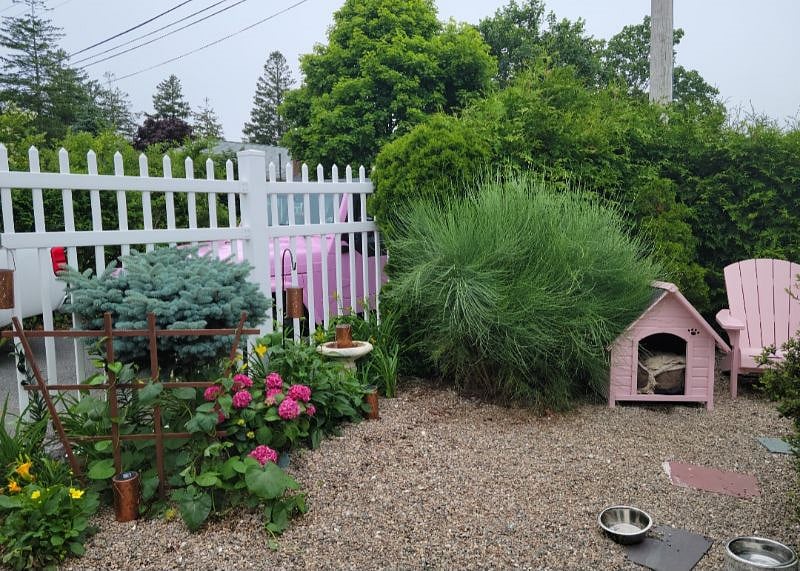 A doggy house too