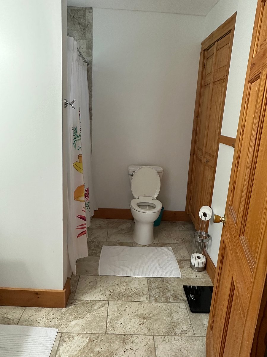Furnished Finder property 491785_1 photo 3