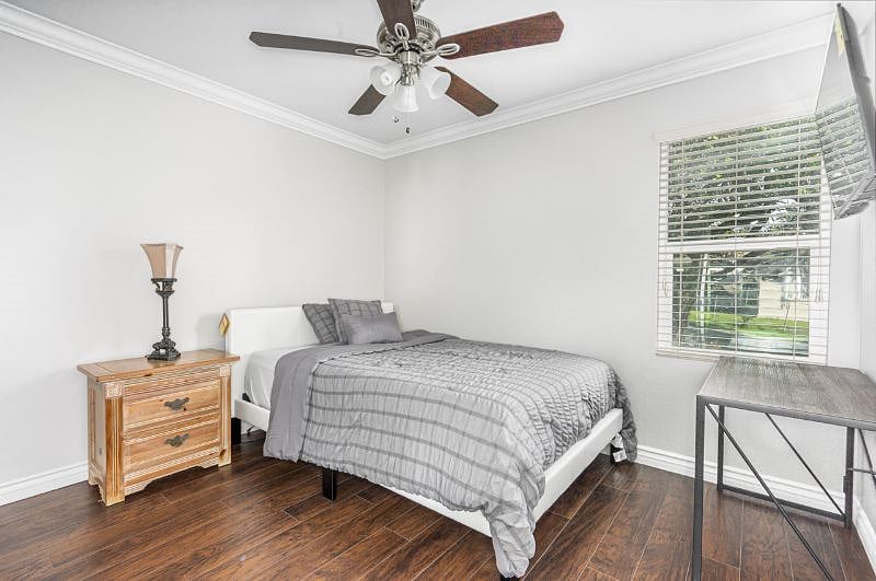 Furnished Finder property 491807_1 photo 15