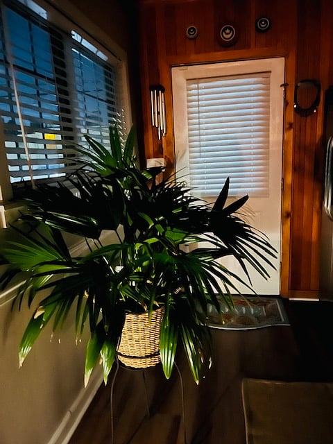 Furnished Finder property 491881_1 photo 8