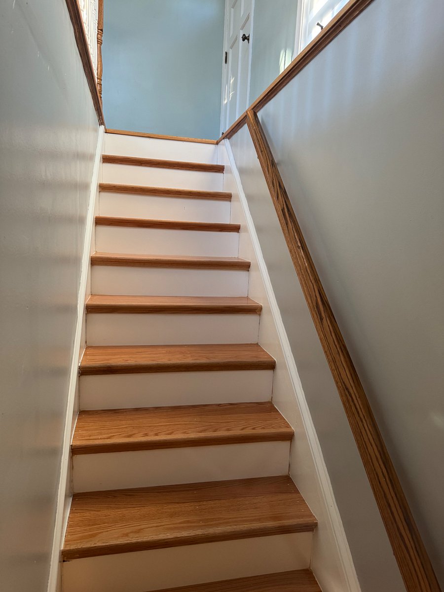 Furnished Finder property 491922_1 photo 8