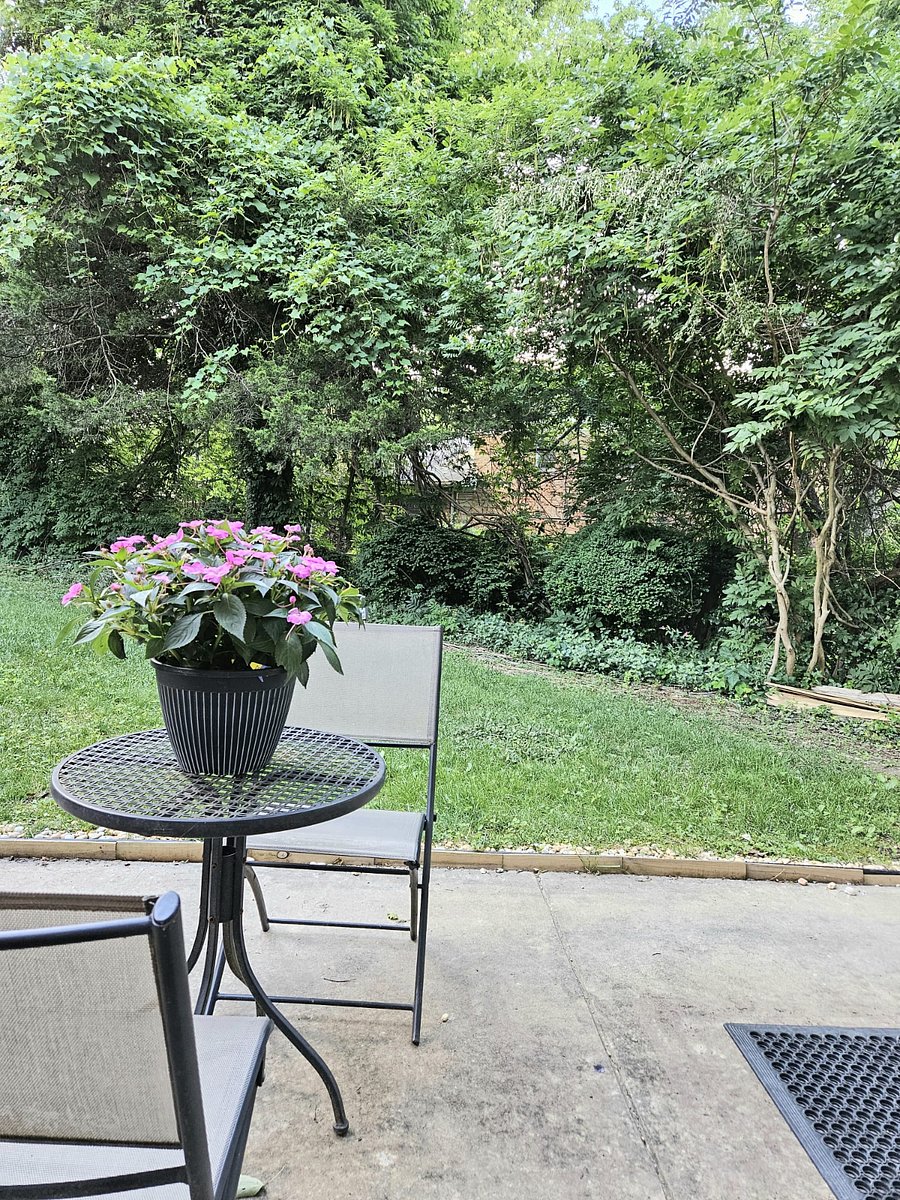 Furnished Finder property 492119_1 photo 10
