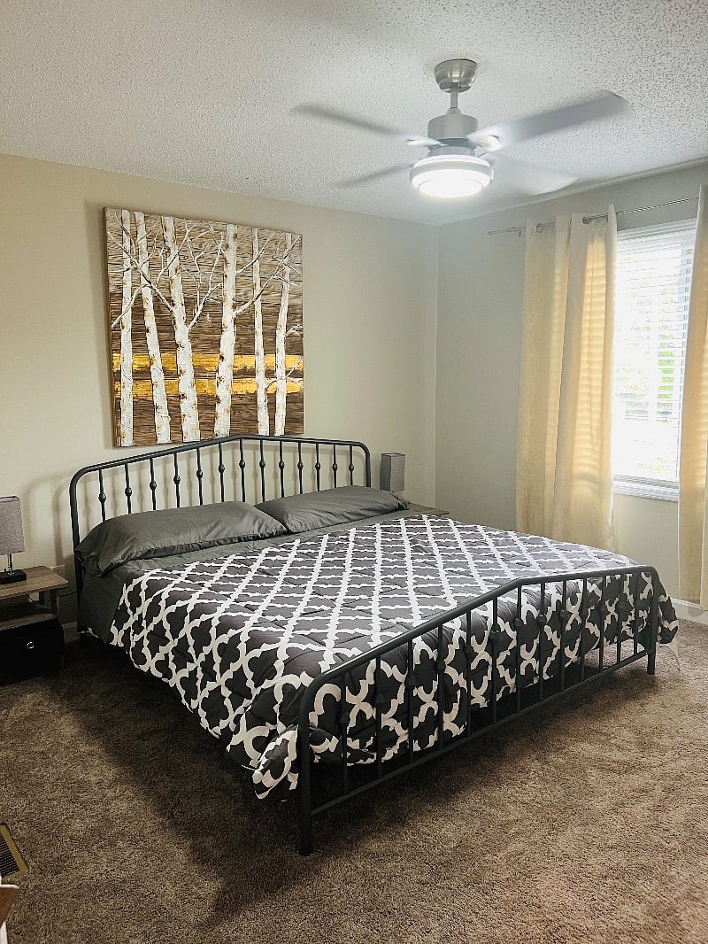 Furnished Finder property 492169_1 photo 37