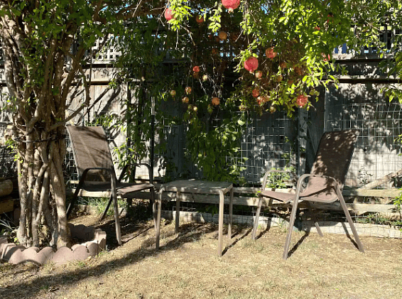 Furnished Finder property 492349_1 photo 22