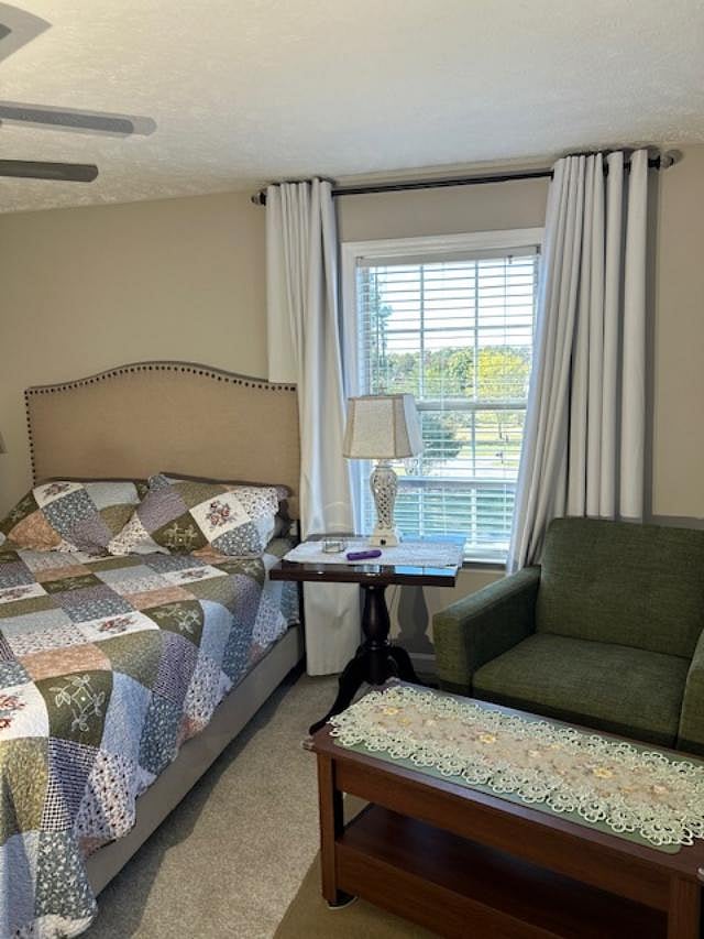 Furnished Finder property 492415_2 photo 2
