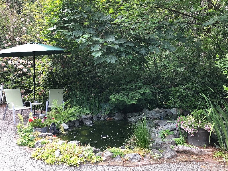 Garden you walk through to apartment (pond)