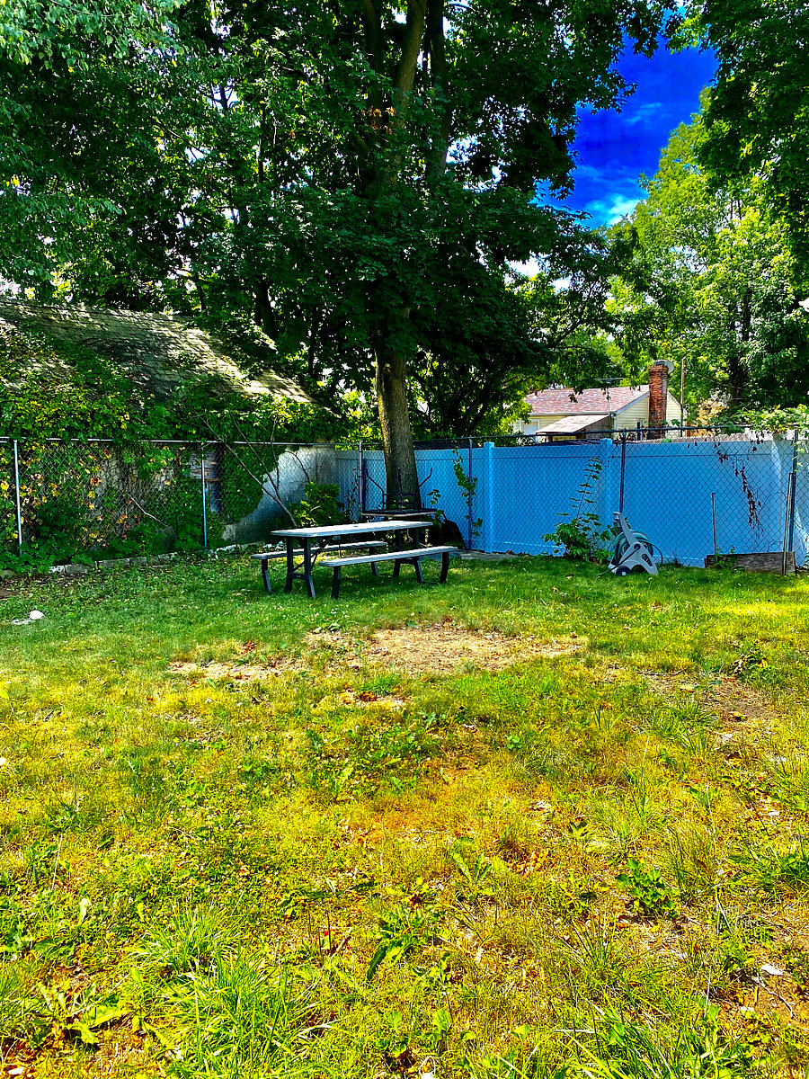 Furnished Finder property 492450_1 photo 6
