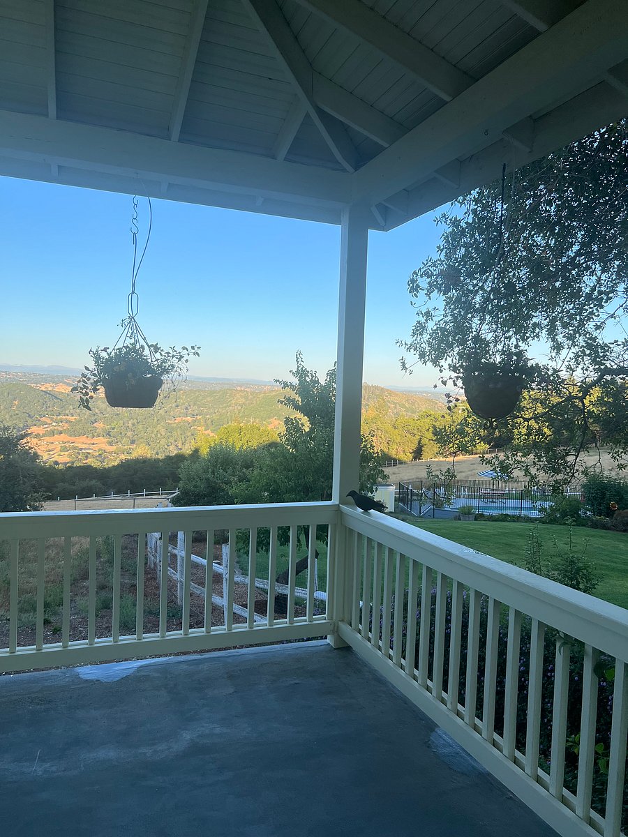 Furnished Finder property 492488_1 photo 26