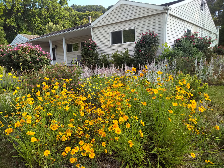 The gardens love to bloom