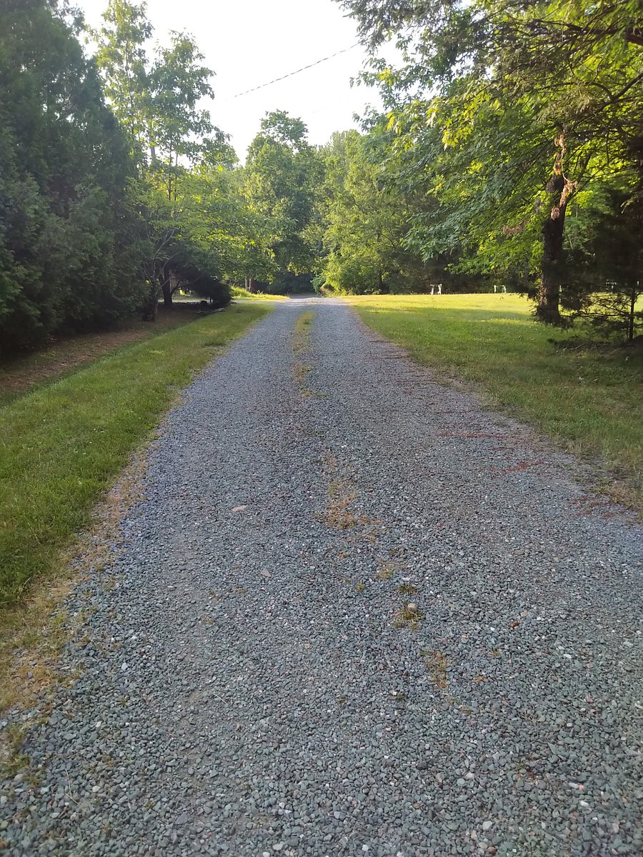 Portion of driveway