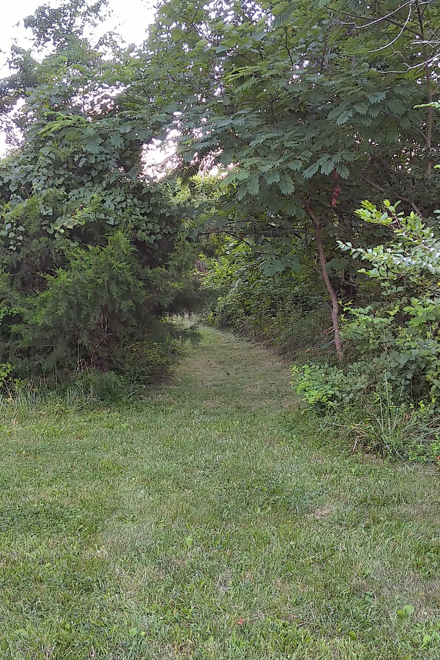 Wooded paths circle the house through the woods