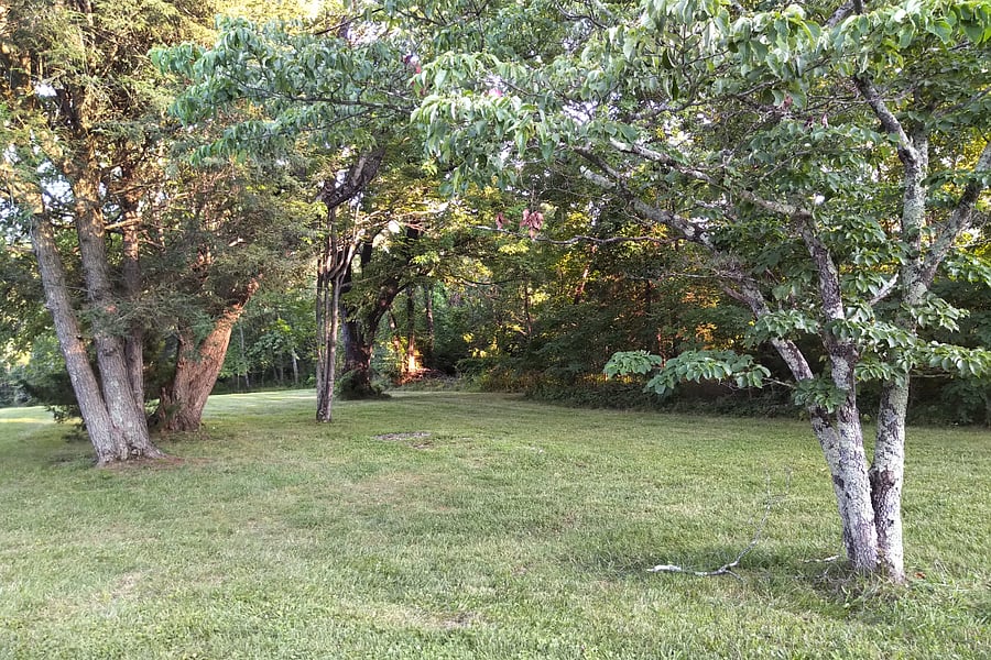More lawn space....
