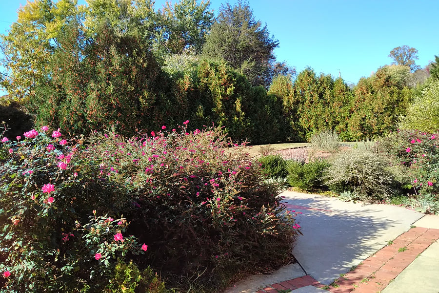 One view from front porch - great place to sip coffee in the mornings