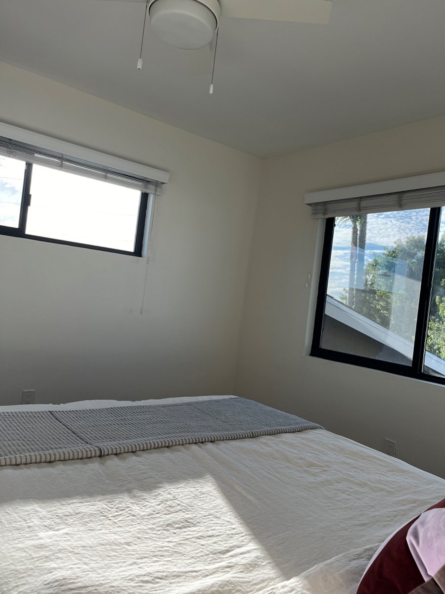 Furnished Finder property 492568_1 photo 18