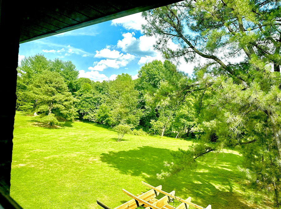 Furnished Finder property 492744_1 photo 50