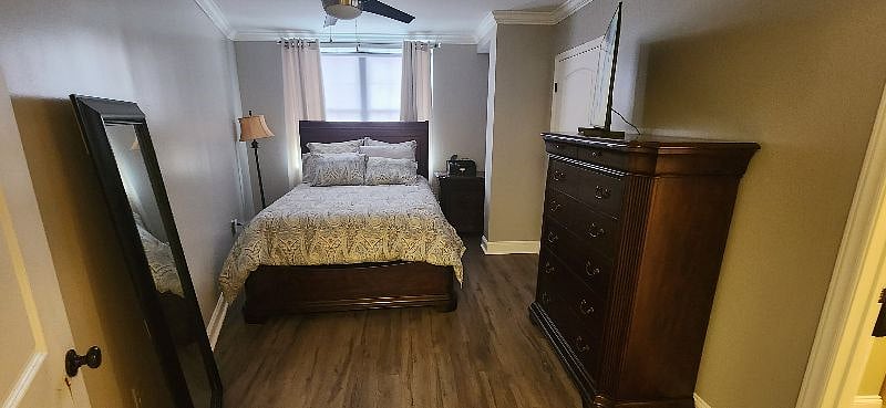Furnished Finder property 492822_1 photo 12