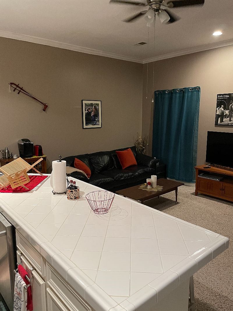 Kitchen counter and living room couch