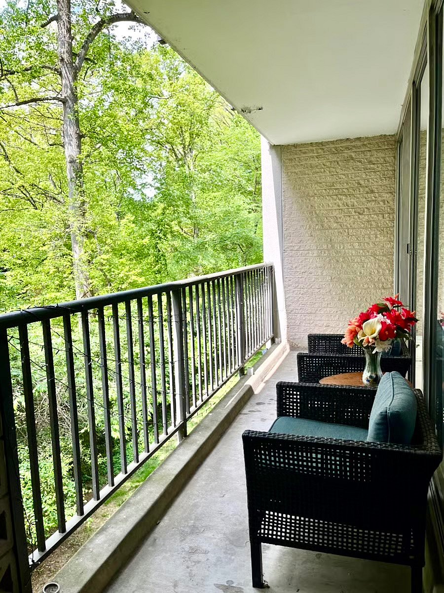 Furnished Finder property 492953_1 photo 35