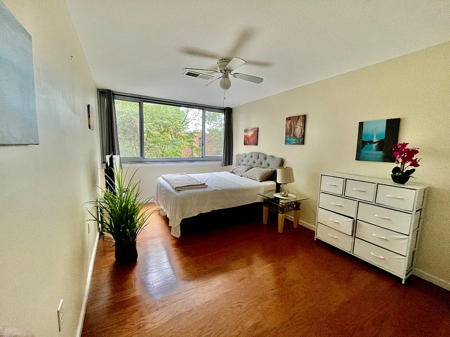 Furnished Finder property 492953_1 photo 42
