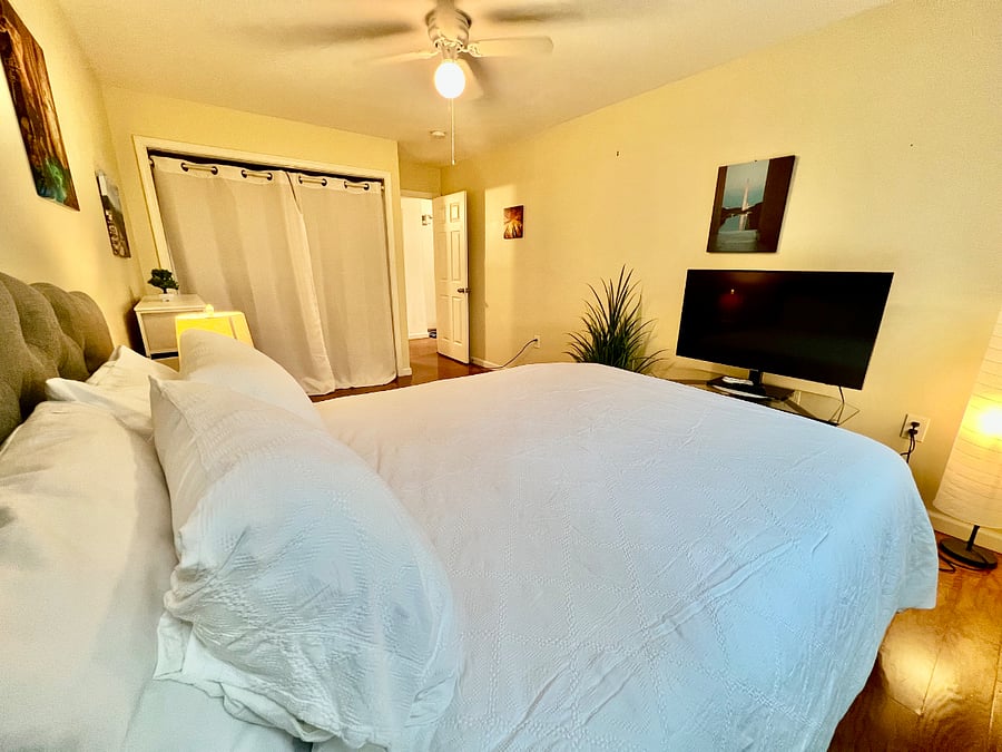 Furnished Finder property 492953_1 photo 52