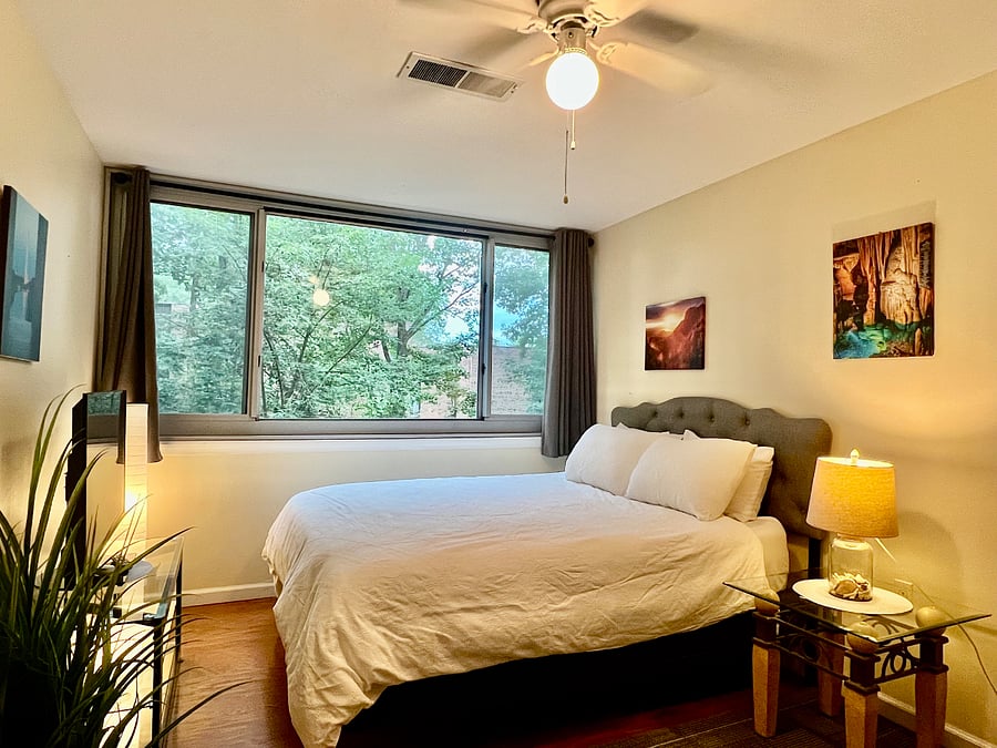 Furnished Finder property 492953_1 photo 53