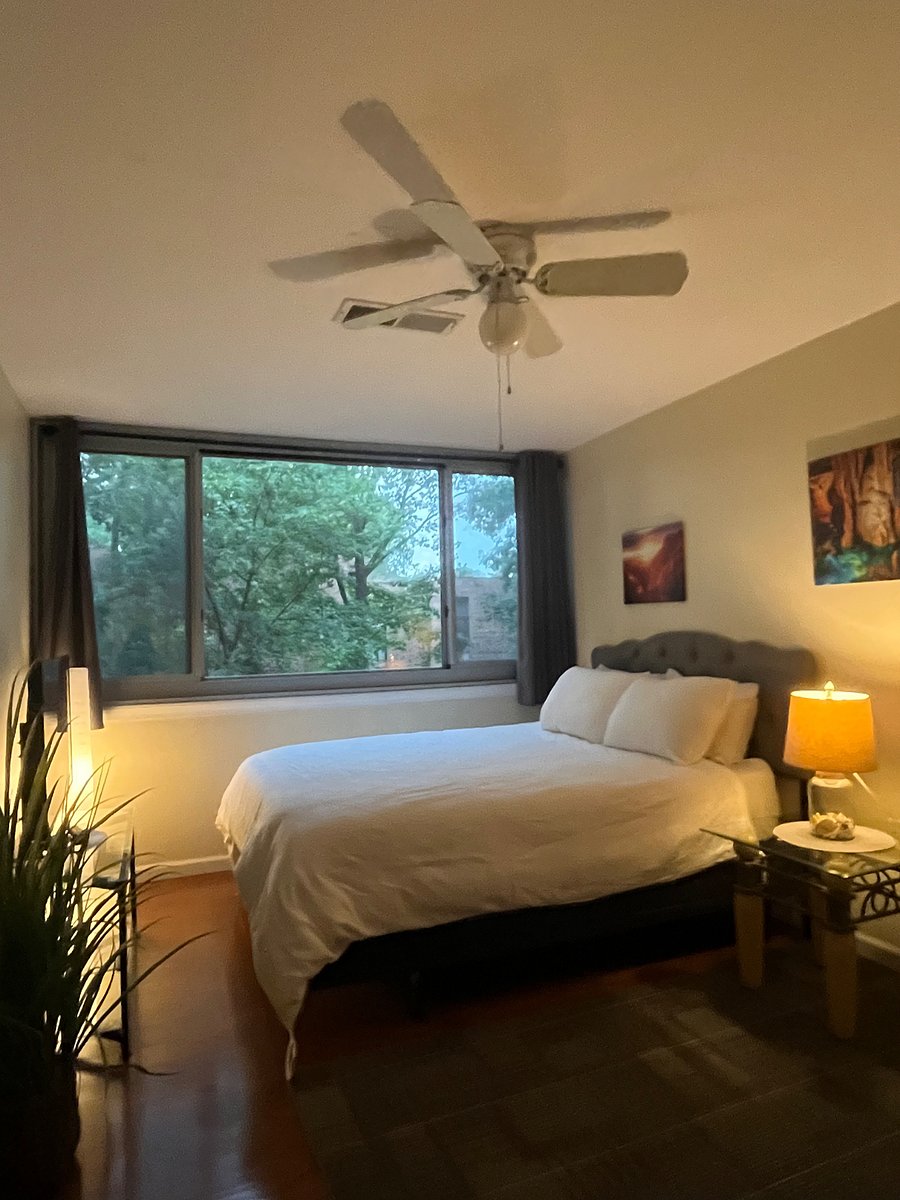 Furnished Finder property 492953_1 photo 55