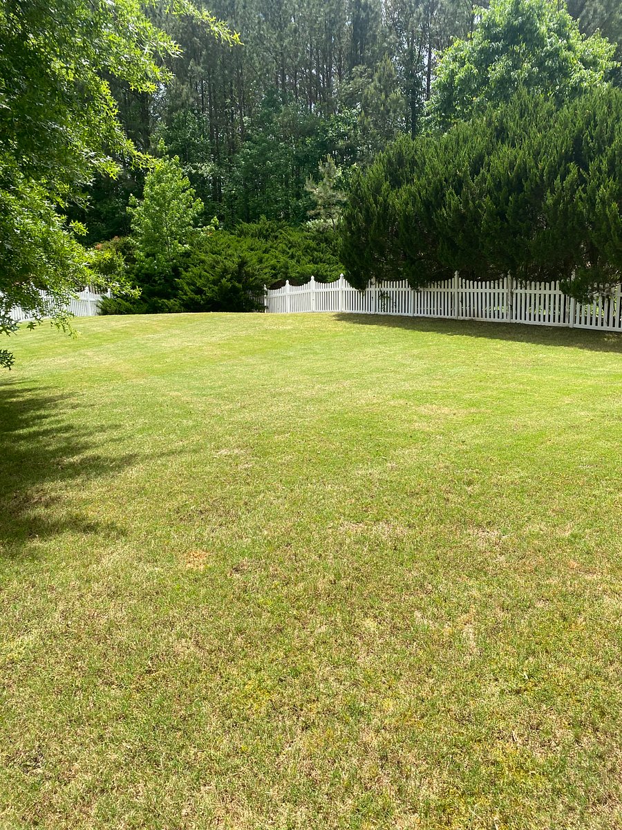 Furnished Finder property 492955_2 photo 3